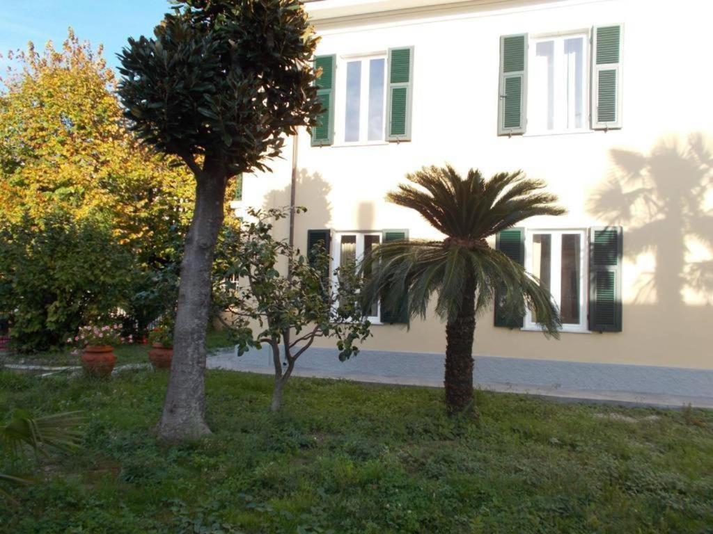 B&B Rossana Carrara Luaran gambar